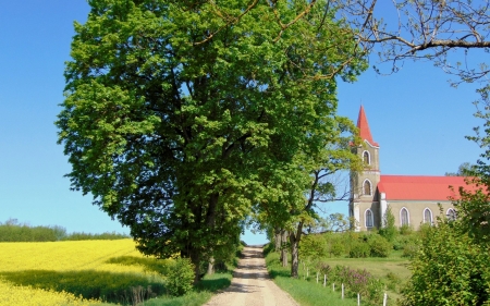 Road to Church in Sece, Latvia - Latvia, trees, Sece, road, field, church