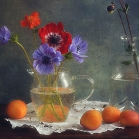 Poppy Still Life