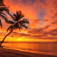 Fiji sunset