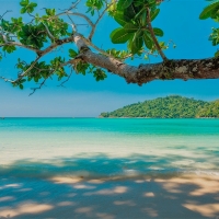 Island