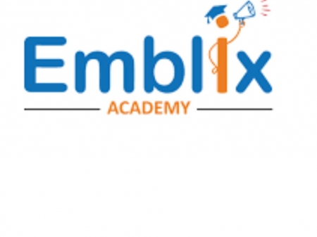 digital marketing course in hyderabad - digital marketing, emblix academy, online courses, online marketing, training institute