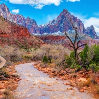 Cowgirl ~ Katie in Zion N.P., Utah