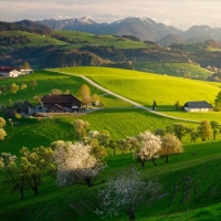Fields and Mountains