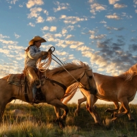 A Real Cowgirl Herding her Horses