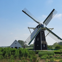 Windmill in Netherlands