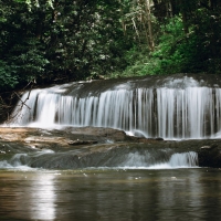 Cohutta Wilderness, Cohutta, Georgia