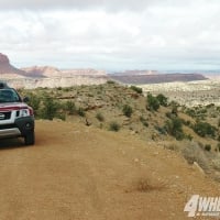 Wolverine Petrified Forest