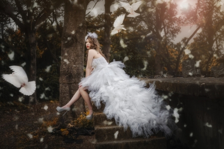 Bride - asian, bird, dove, dress, fashion, girl, model, pasari, white, woman
