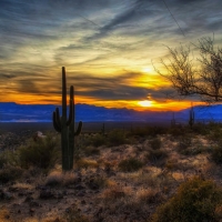 Roosevelt Lake, Arizona