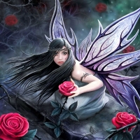 Rose Fairy