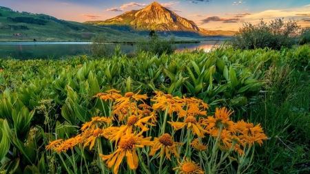A summer evening in Crested Butte - beautiful, colorado, mountain, river, summer, sunset, wildflowers