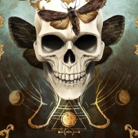 King of moths