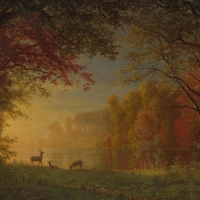 Indian sunset - Deer by the lake