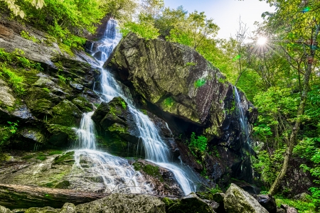 waterfall - forest, nature, water, waterfall