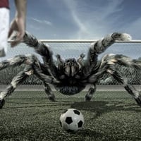 Football / FuÃŸball