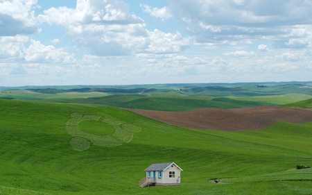 Been Outside Lately? (widescreen) - crop circles, outside, prarie, green, xp