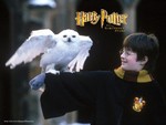 Harry Potter (Young)