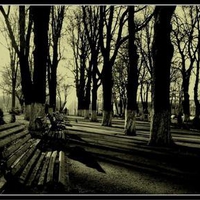 Park Benches