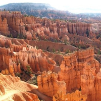 Morning in the Bryce Canyon