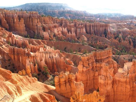 Morning in the Bryce Canyon - yellow, deserts, orange, arizona, canyons, red, valleys, mountains, rocks