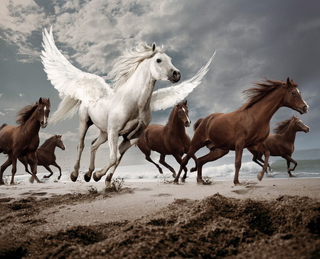 Pegasus - white, sky, wings