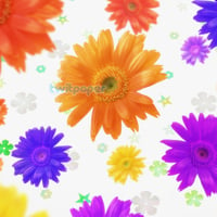 flower power wallpaper