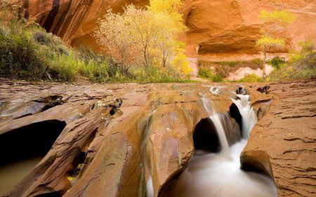 Cottonwoods In Autumn Glen Canyon National Park - river, nature, waterfall, autumn, creek, park, canyon