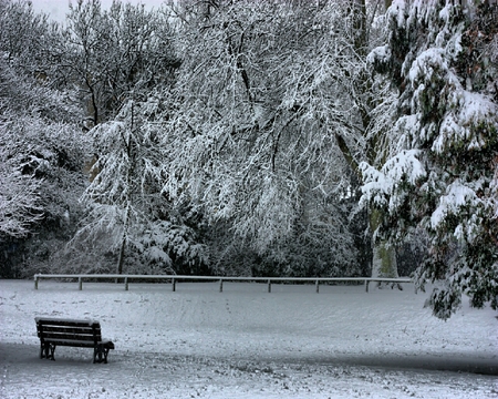 	Bath Somerset England UK - england, uk, snow, bath, bench, somerset