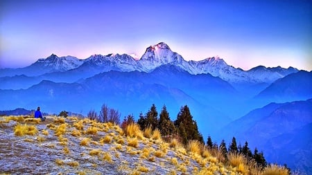 How To Reach There - mountains, trees, blue, snow