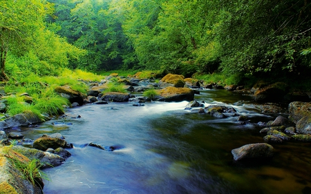 	Oregon Nestucca River