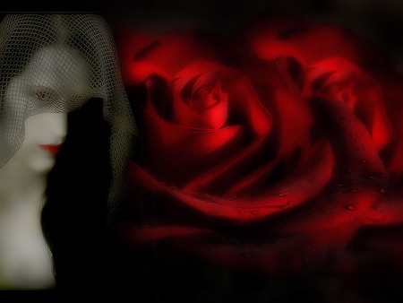 Black Rose - red, goth, rose, fantasy, lady fantasy