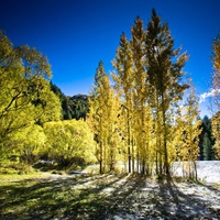 Arrowtown Autumn