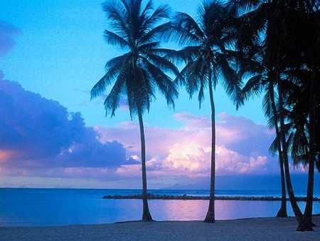 Beach - nature, beaches, blue