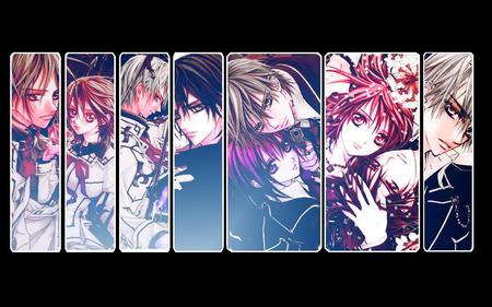 vampire knight - anime, vampire knight