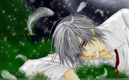 Zero Kiryu - anime, vampire knight