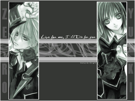 Zero Kiryu and Yuki Cross - anime, vampire knight