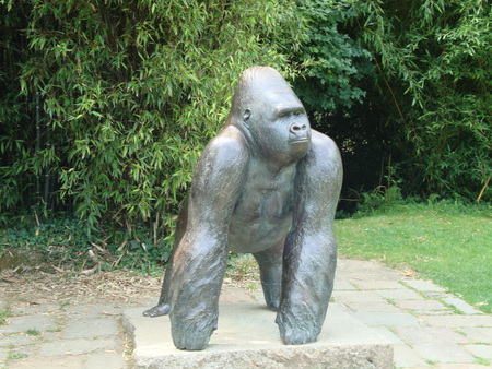 Jambo, the legendary Gorilla - durrel, primates, statue, gorrila