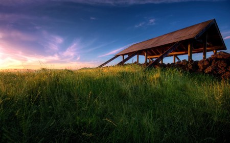 An animal feed shelter at Ambury Park Auckland New Zealand - fields, auckland, ambury park, scenic, new zealand, nature, the shelter, scenery, skies, grass