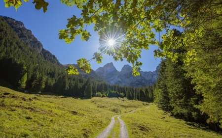 Mountain Path - path, mountains, tree, sunbeams