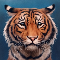 Sad Tiger