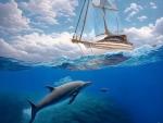 Sea odyessey