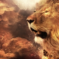 Zodiac ~ Leo