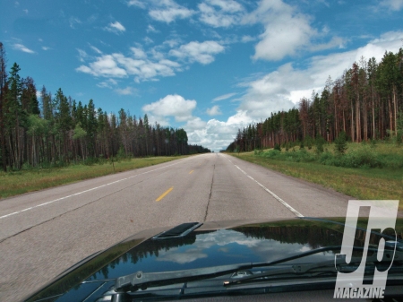 Road Trip - grass, landscape, nature, tree