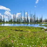 High Uintas Wilderness, Utah