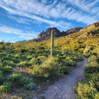 Gold Canyon, Arizona