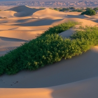 Stunning sunrise over Mesquite Flats Dunes in Death Valley National Park