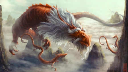 Dragons - fantasy, white, dragon, cloud, art, orange, sky