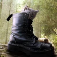 Puss in Boots 2: Nine Lives and 40 Thieves 2022