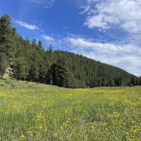 Lake Mary Valley, Arizona