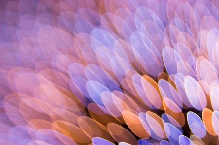 Abstract - abstract, blue, feather, orange, pink, texture